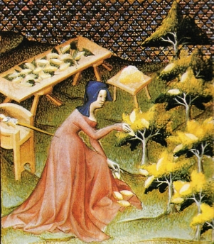 Criadora de gusanos de seda, Boccaccio, Le livre des femmes nobles et renomées